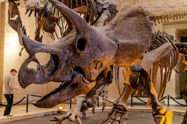 Natural History Museum of Los Angeles ticket and audio tour